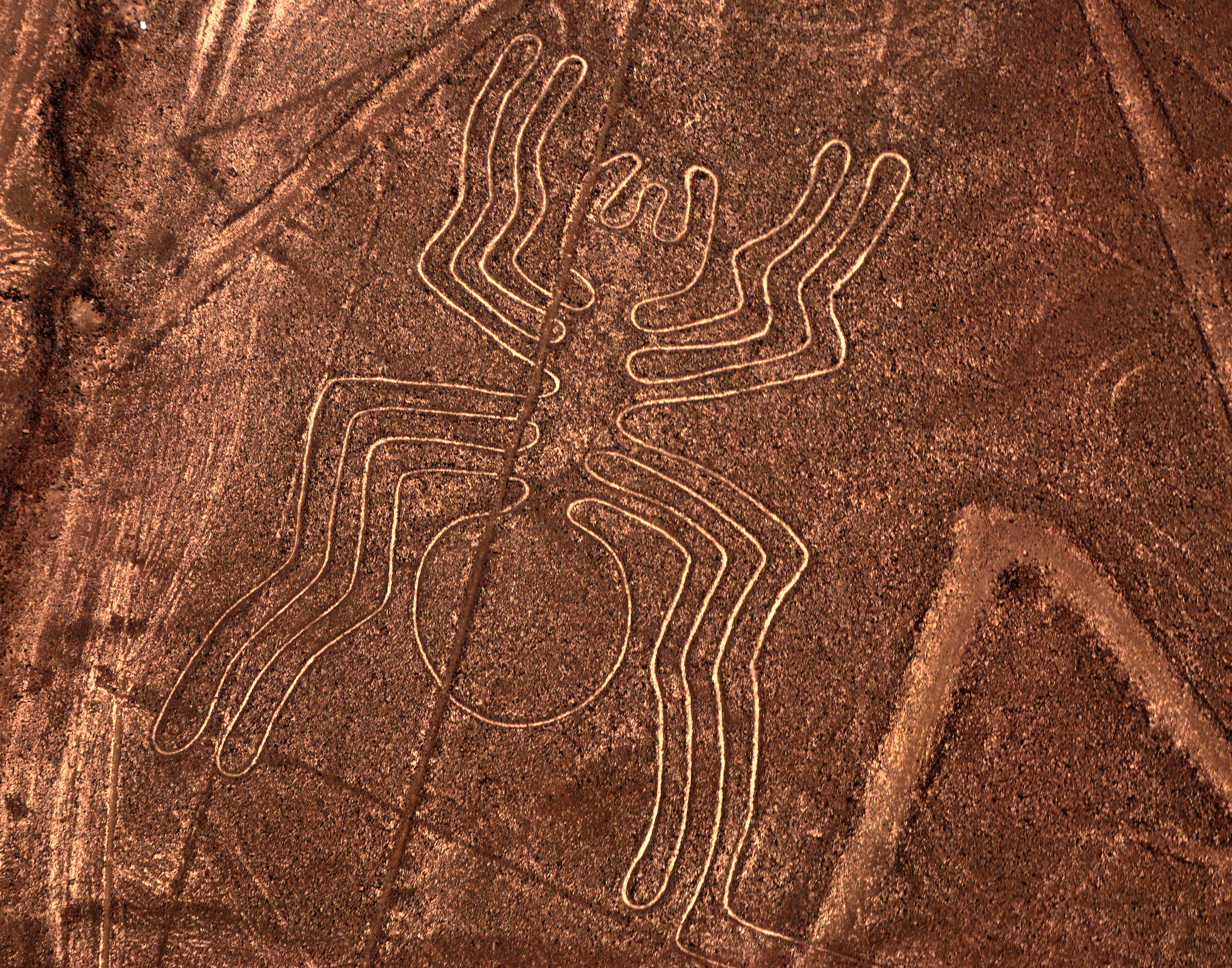 Przykładowy rysunek z Nazca